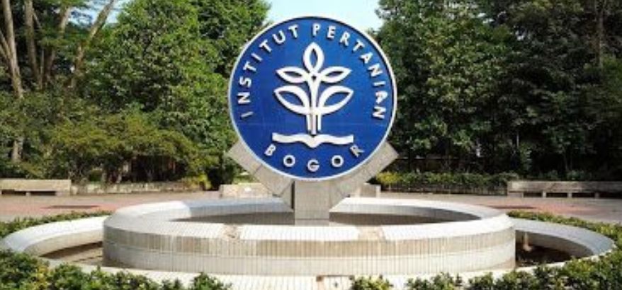 Kampus Inovatif: Pilar Pendidikan Tinggi di Era Modern