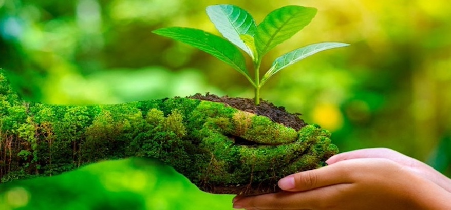 Dlhbanten.id: Layanan Digital untuk Pelestarian Lingkungan Hidup