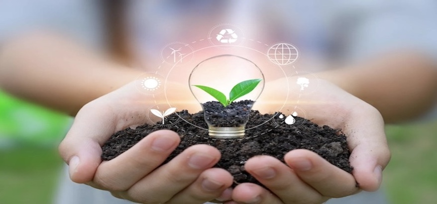 Manfaat dan Peran Strategis Dlhbengkulu.id untuk Pelestarian Lingkungan