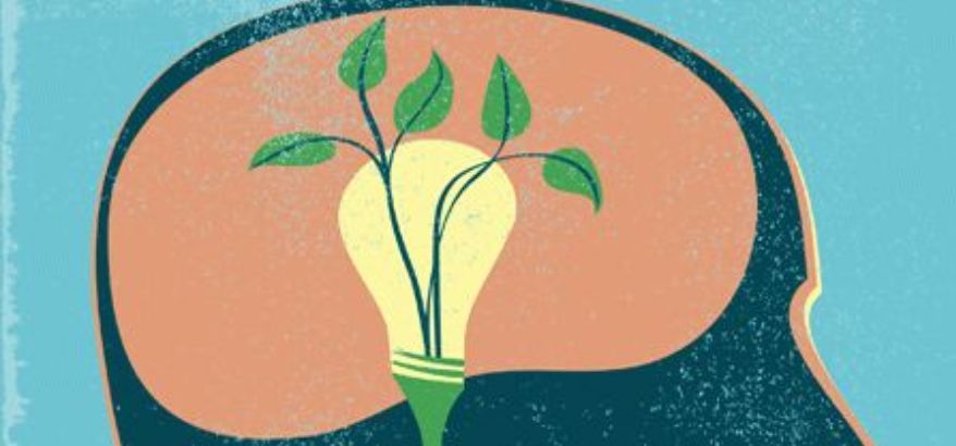 Mindset Berkembang (Growth Mindset): Jalan Menuju Perkembangan Diri yang Berkelanjutan