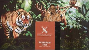 Deforestasi Legal Tinggi Mengancam Hutan Sumatra, Izin Resmi Jadi Sumber Masalah
