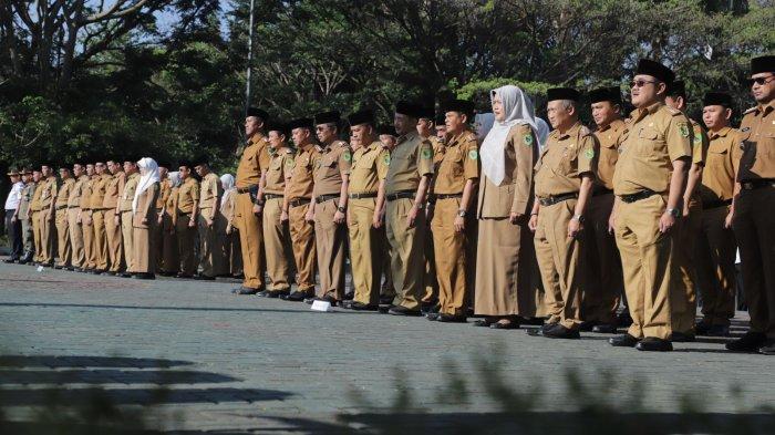 Formasi CPNS 2025: Cara Mengecek Formasi Melalui Portal SSCASN