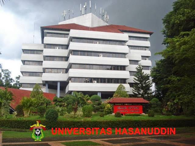 Membaca Peluang Masuk UNHAS Lewat Passing Grade SNBT UNHAS yang Terupdate