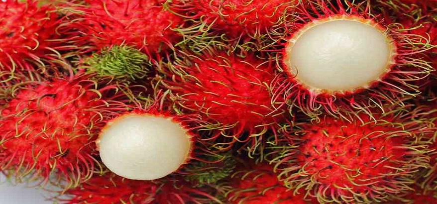 Buah Rambutan, Buah Manis nan Imut Ini Ternyata Kaya Akan Manfaat. Salah Satunya untuk Ibu Hamil