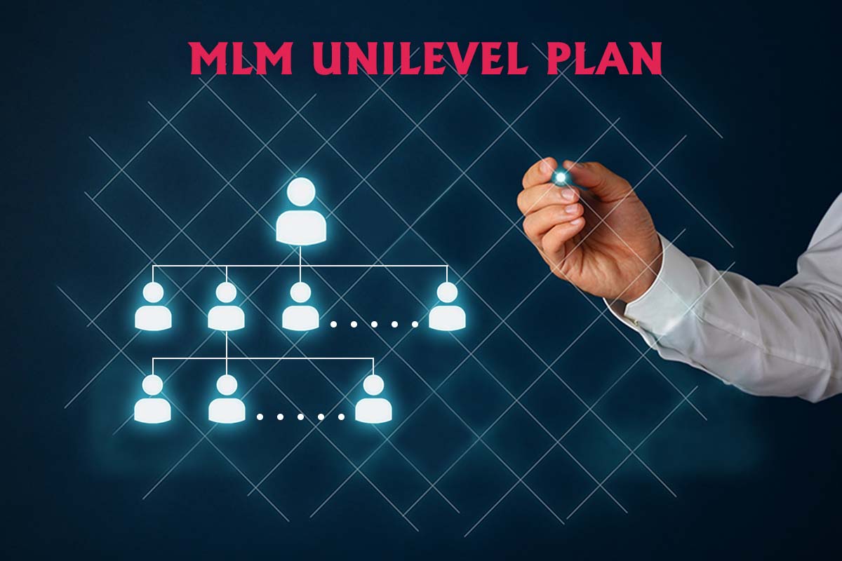 Optimalisasi SEO untuk Pelatihan Digital Marketing: Meningkatkan Promosi Website Coaching MLM